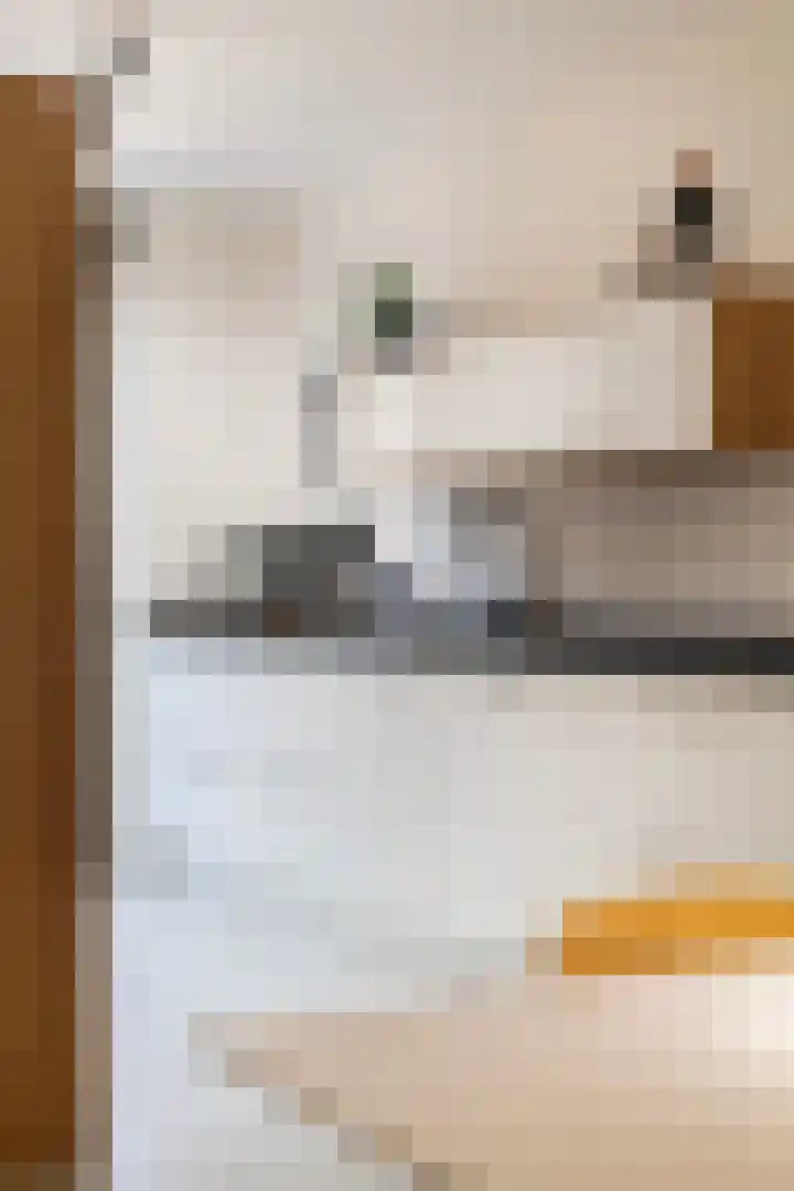 Brouwhuisstraat 11 Rotterdam thumbnail 12