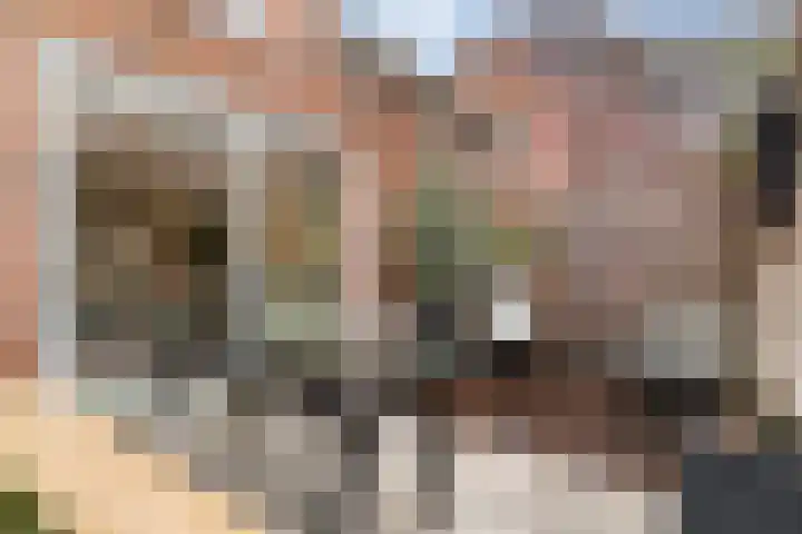 Brouwhuisstraat 11 Rotterdam thumbnail 28