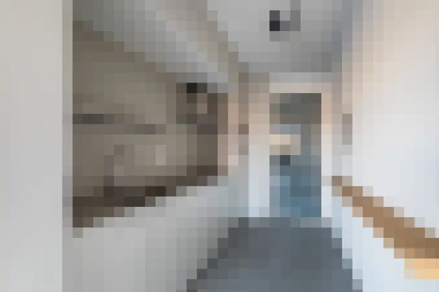 Brouwhuisstraat 22 G Rotterdam thumbnail 18