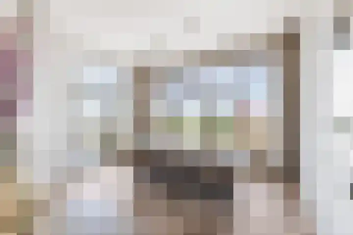 Brouwhuisstraat 24 S Rotterdam thumbnail 17