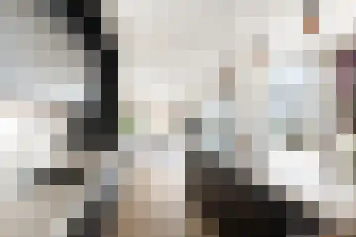 Brouwhuisstraat 24 S Rotterdam thumbnail 32
