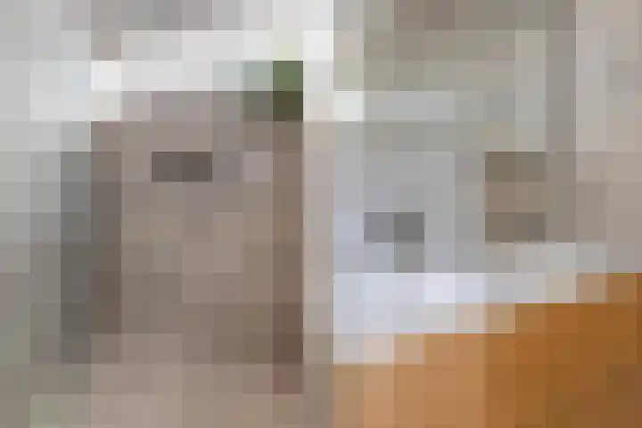 Brouwhuisstraat 24 S Rotterdam thumbnail 53