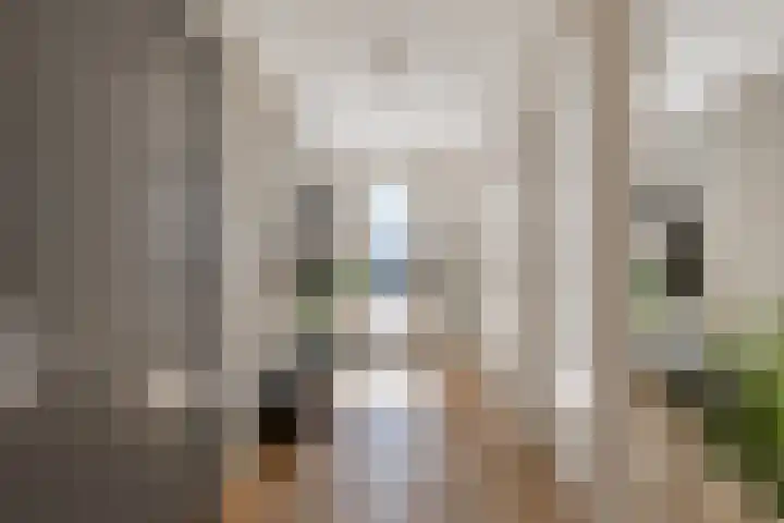 Brouwhuisstraat 24 S Rotterdam thumbnail 59