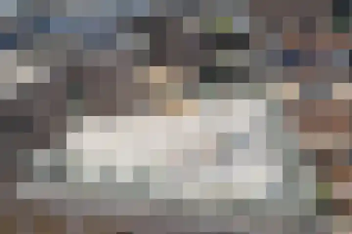 Brouwhuisstraat 24 S Rotterdam thumbnail 84