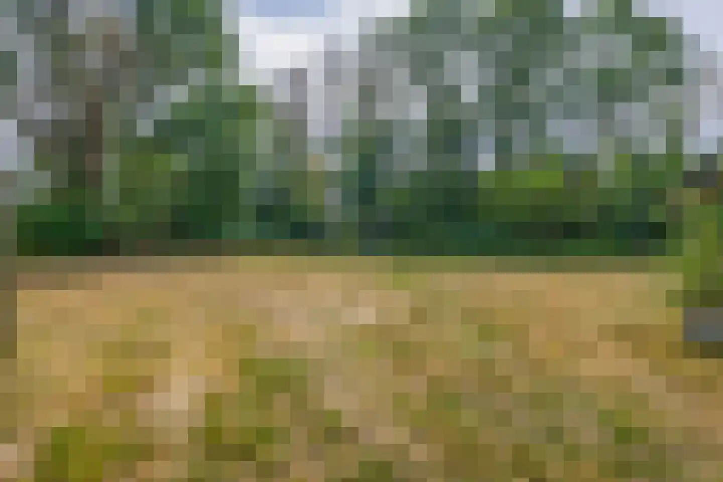 Brouwhuisweg 25 Vlierden thumbnail 13