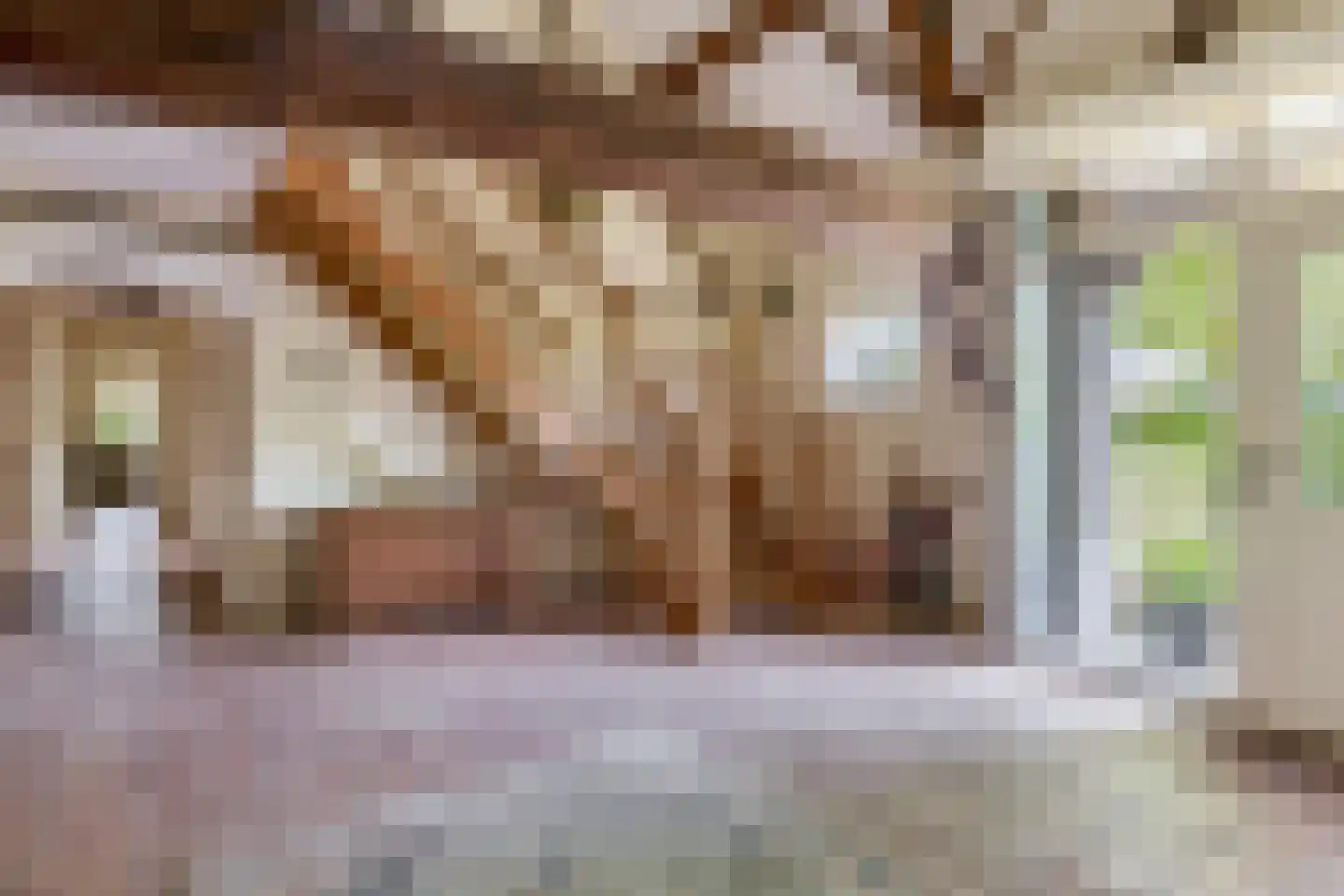 Brouwhuisweg 25 Vlierden thumbnail 18