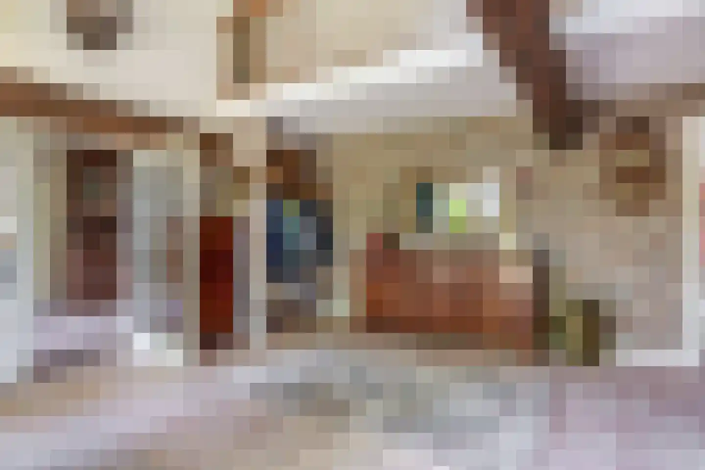 Brouwhuisweg 25 Vlierden thumbnail 19