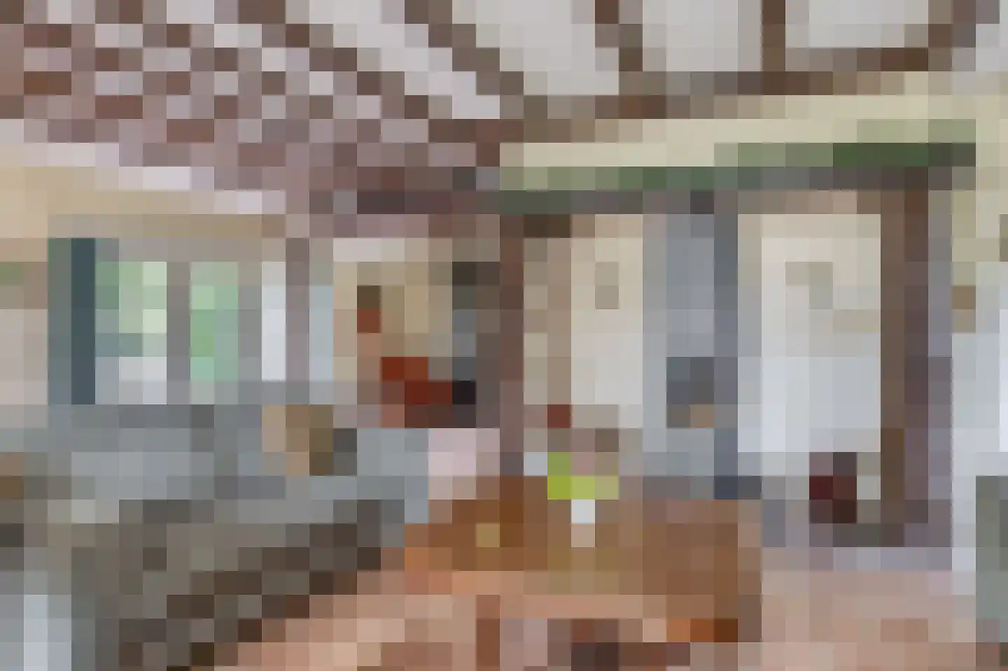 Brouwhuisweg 25 Vlierden thumbnail 22