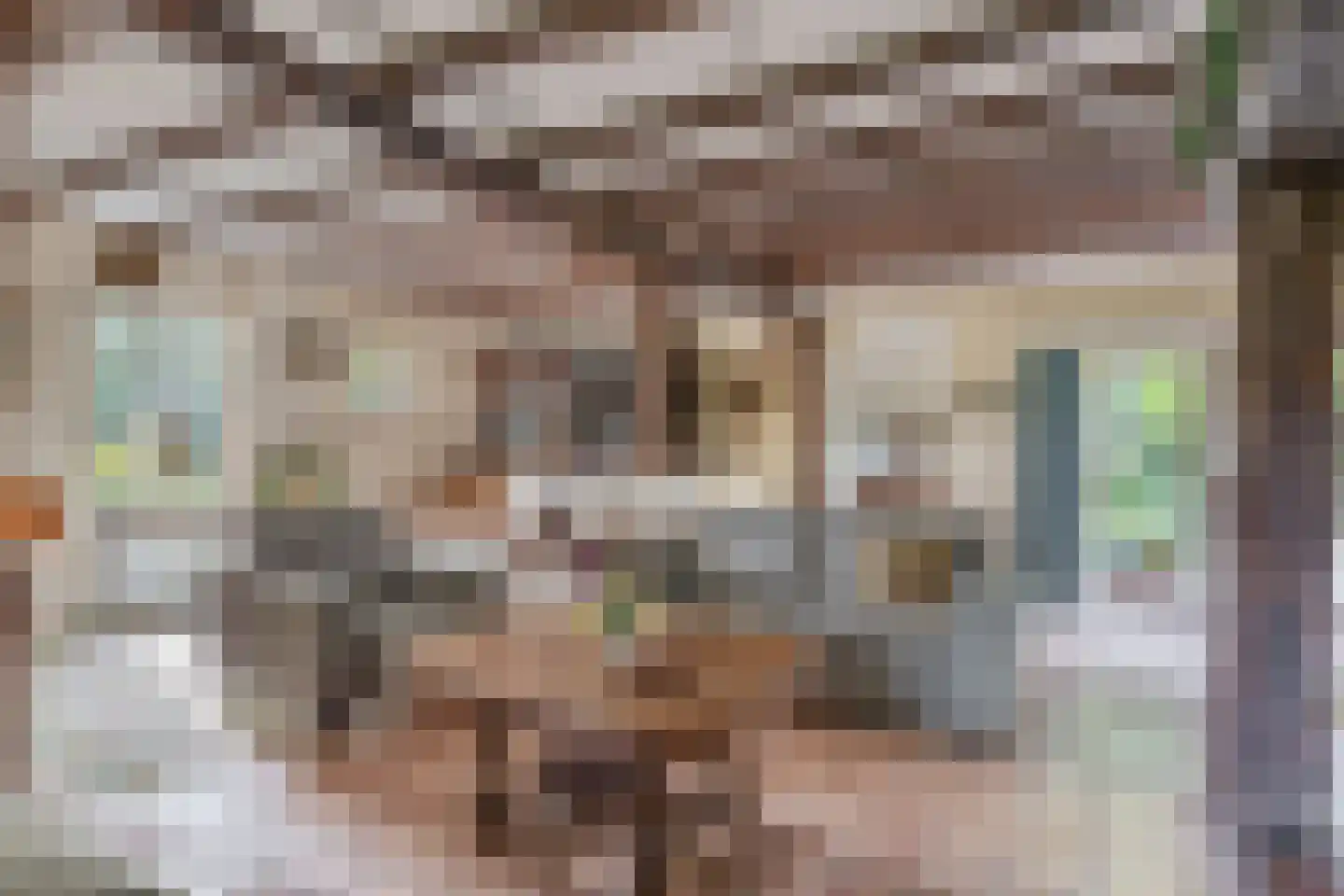 Brouwhuisweg 25 Vlierden thumbnail 23