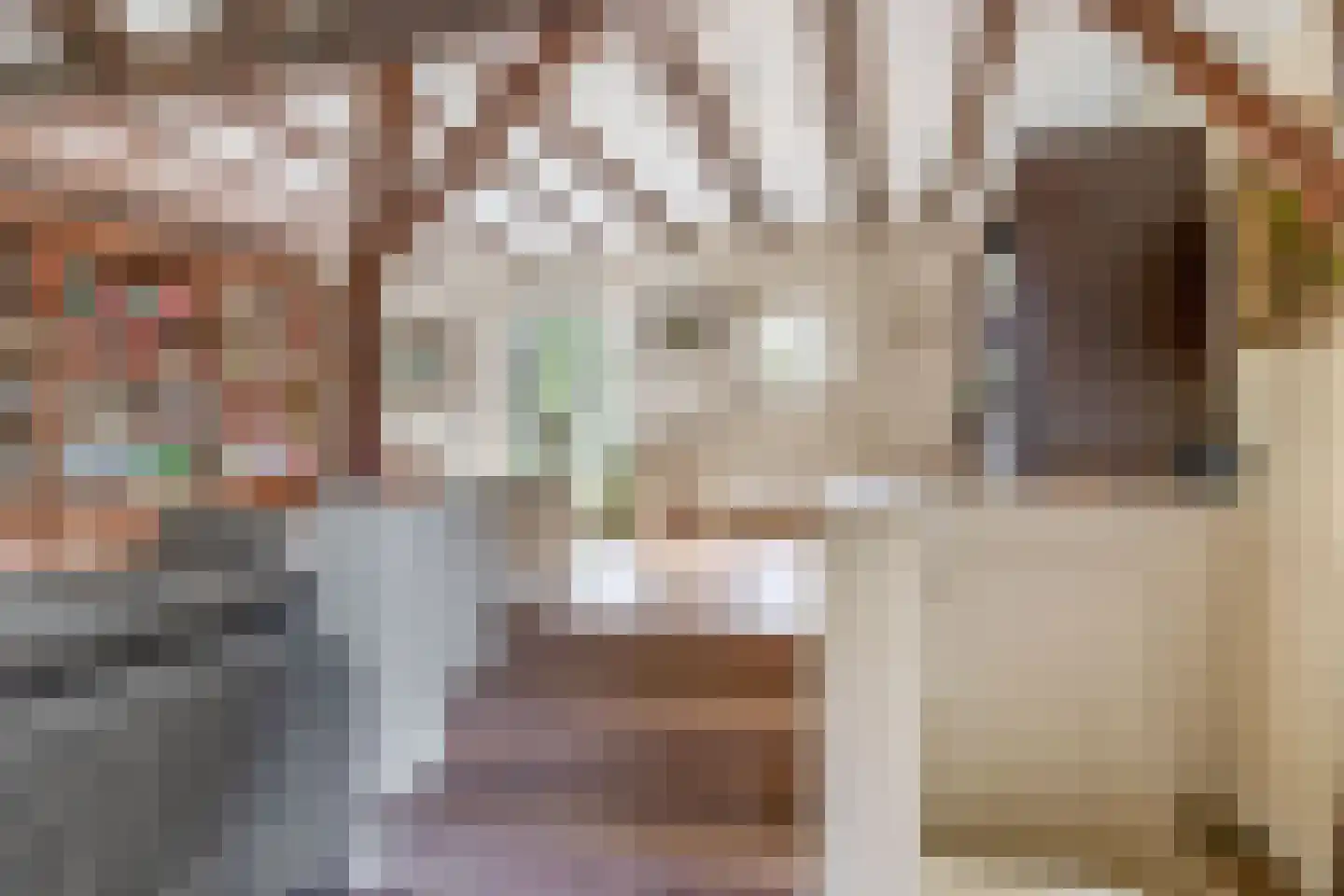 Brouwhuisweg 25 Vlierden thumbnail 26
