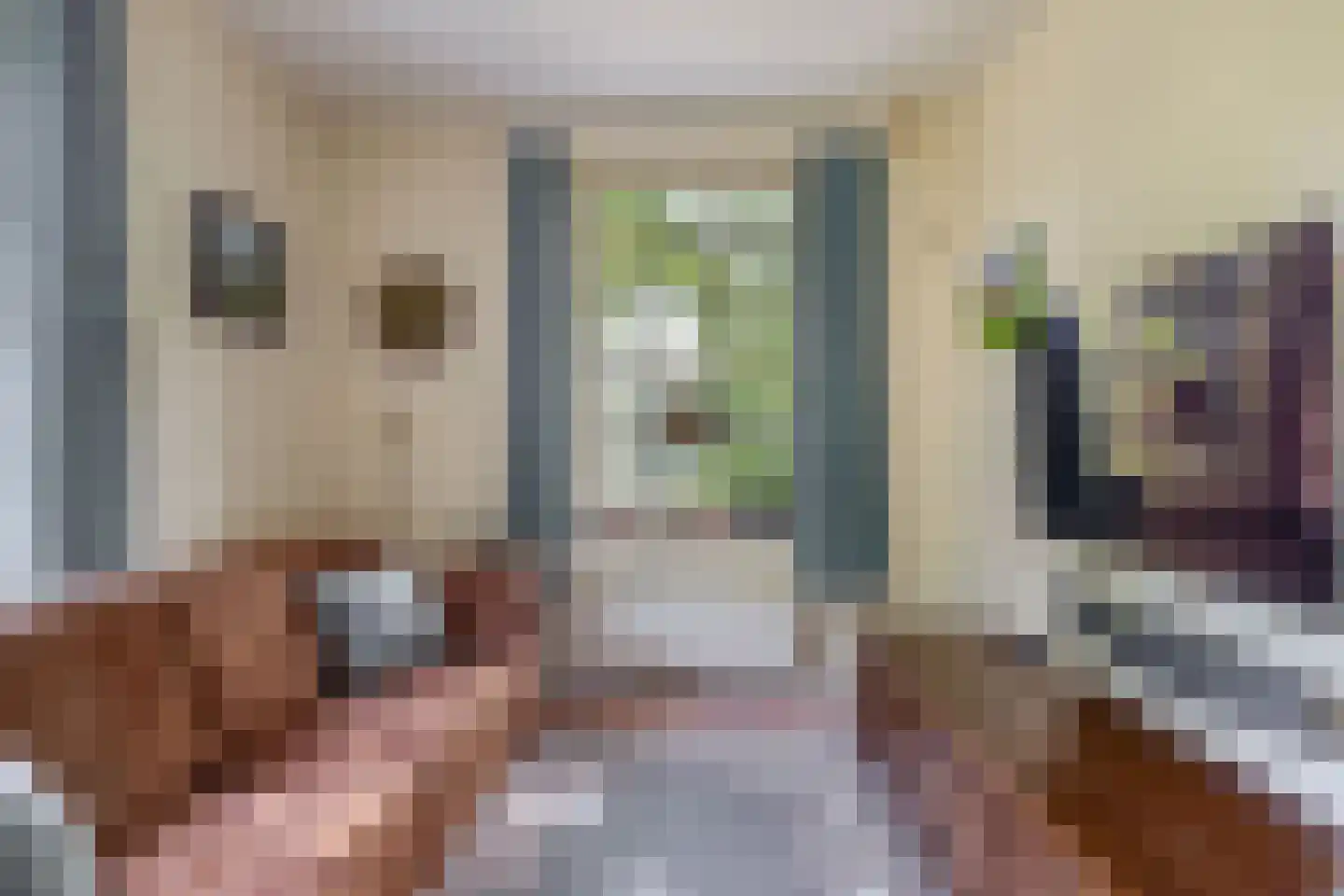 Brouwhuisweg 25 Vlierden thumbnail 27