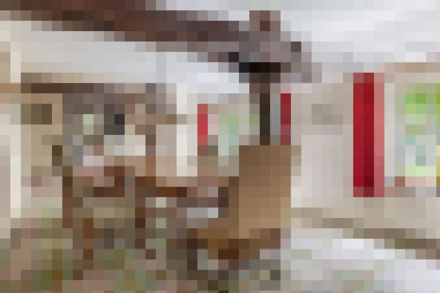 Brouwhuisweg 25 Vlierden thumbnail 30