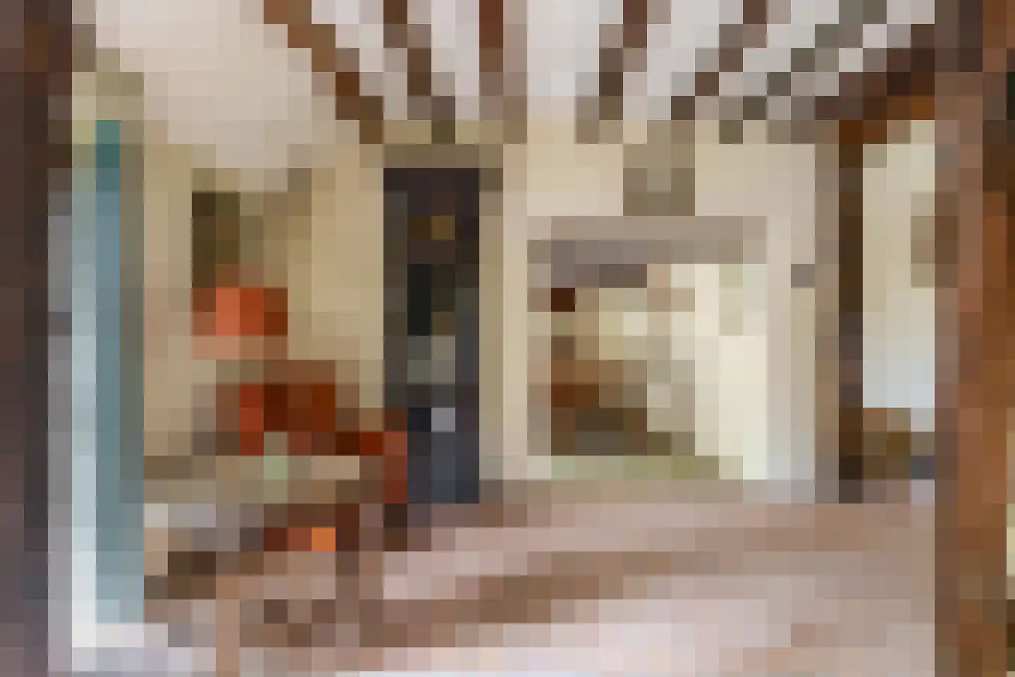 Brouwhuisweg 25 Vlierden thumbnail 31
