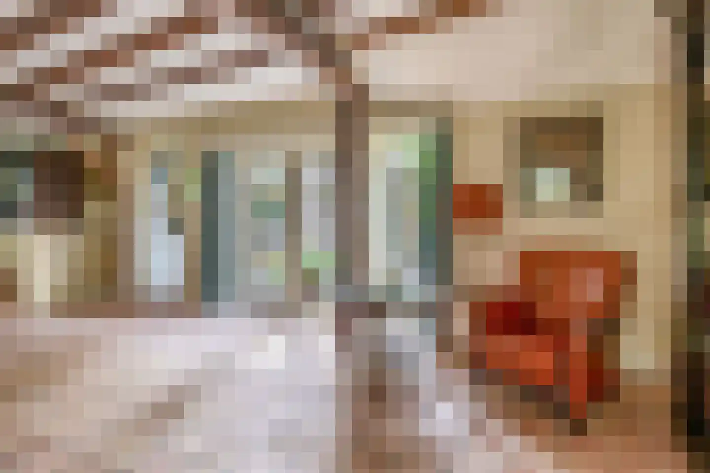 Brouwhuisweg 25 Vlierden thumbnail 32