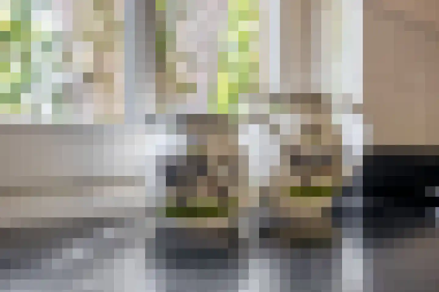 Brouwhuisweg 25 Vlierden thumbnail 38