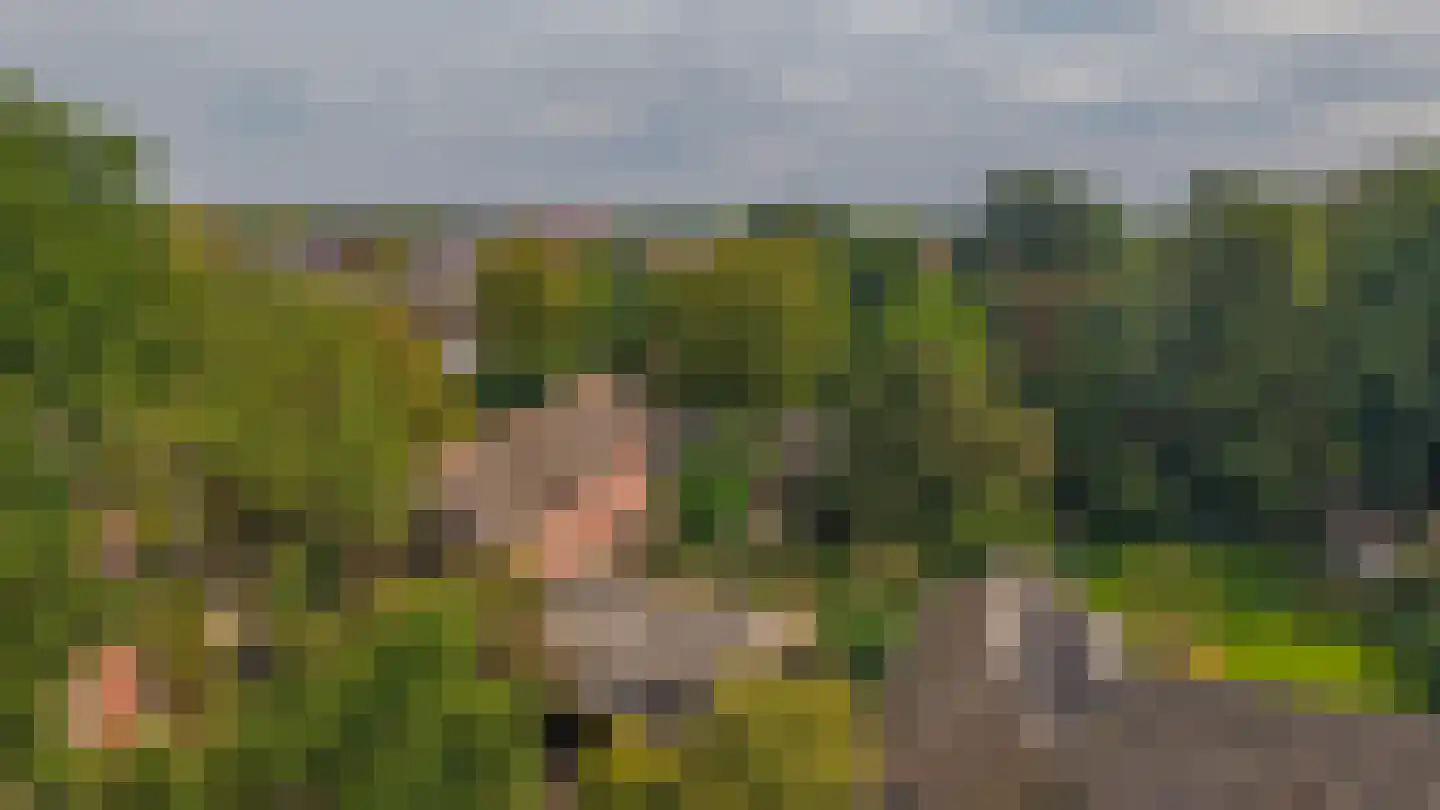 Brouwhuisweg 25 Vlierden thumbnail 4