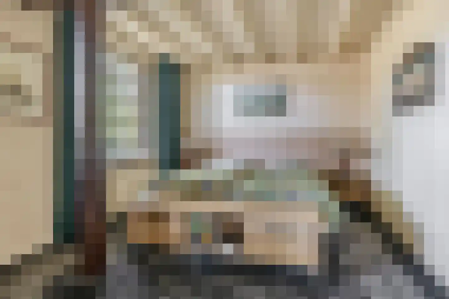 Brouwhuisweg 25 Vlierden thumbnail 42