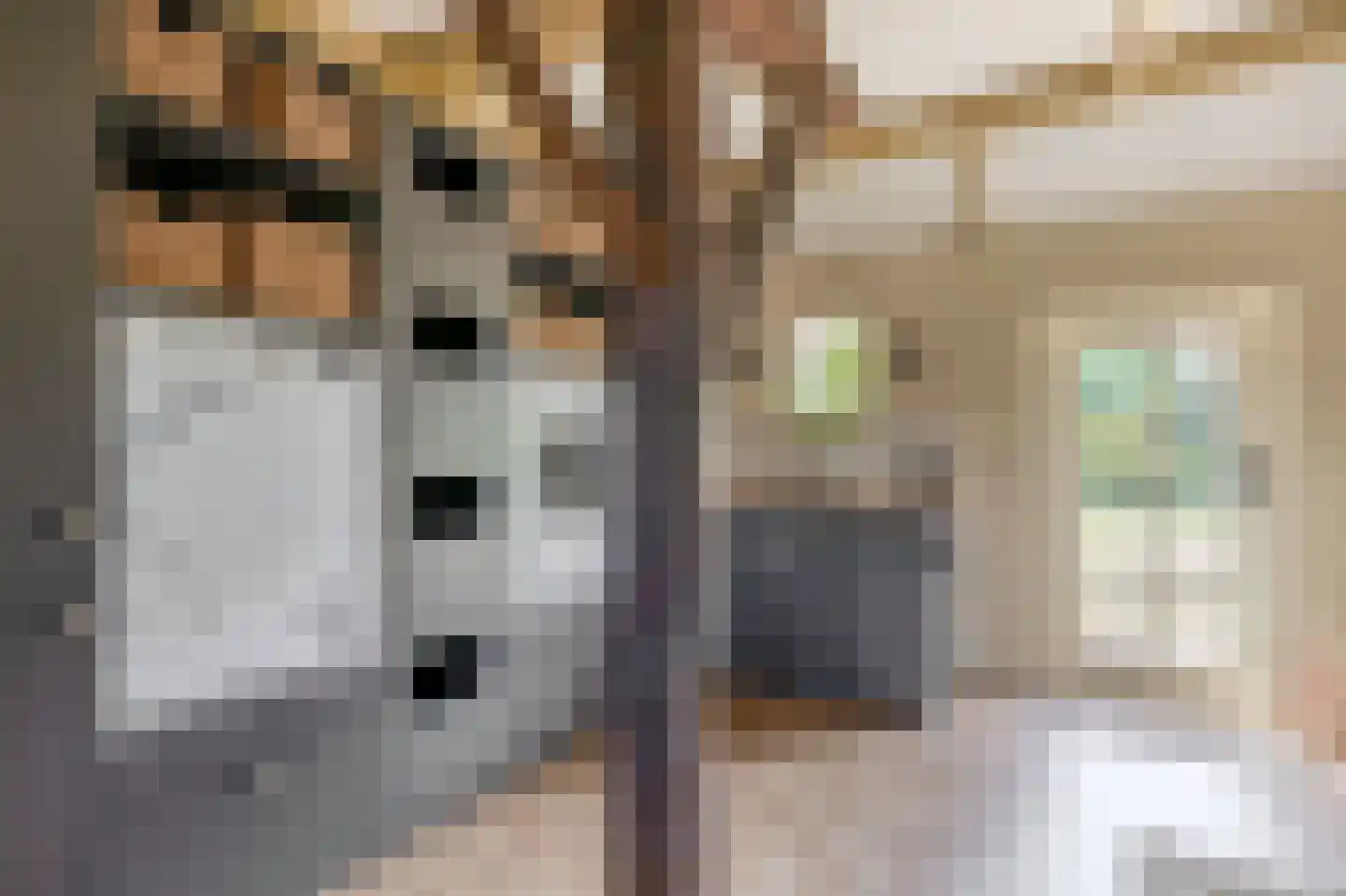 Brouwhuisweg 25 Vlierden thumbnail 47