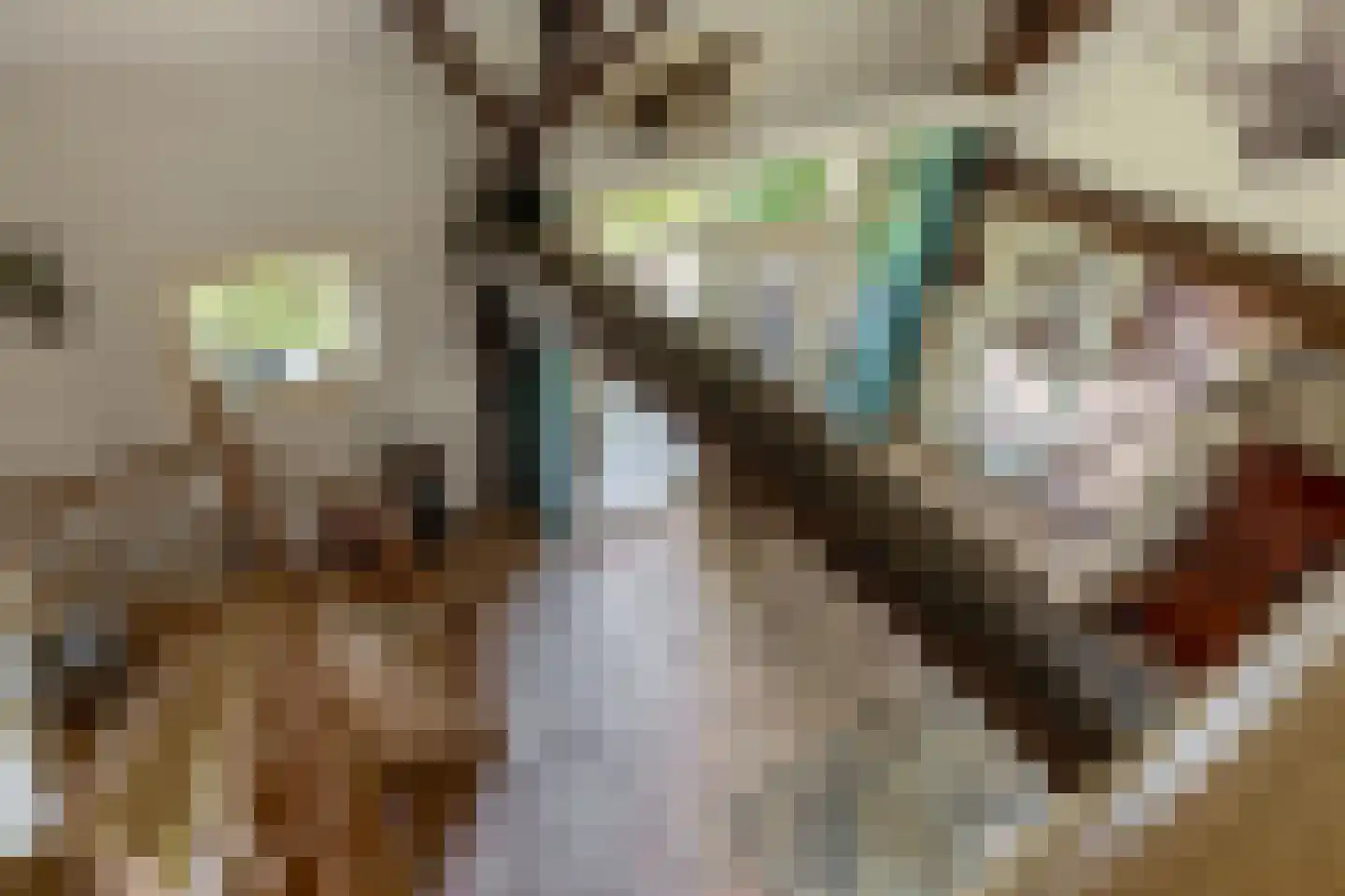 Brouwhuisweg 25 Vlierden thumbnail 51
