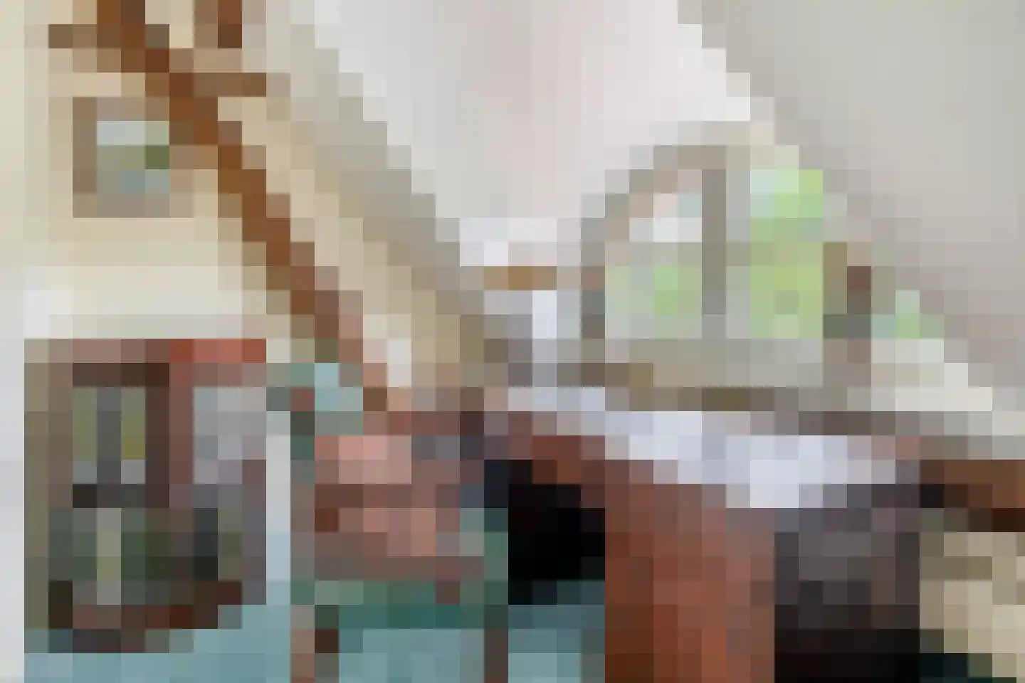 Brouwhuisweg 25 Vlierden thumbnail 52