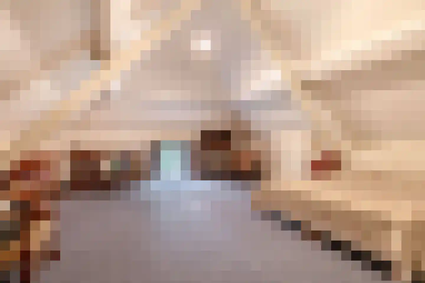 Brouwhuisweg 25 Vlierden thumbnail 54