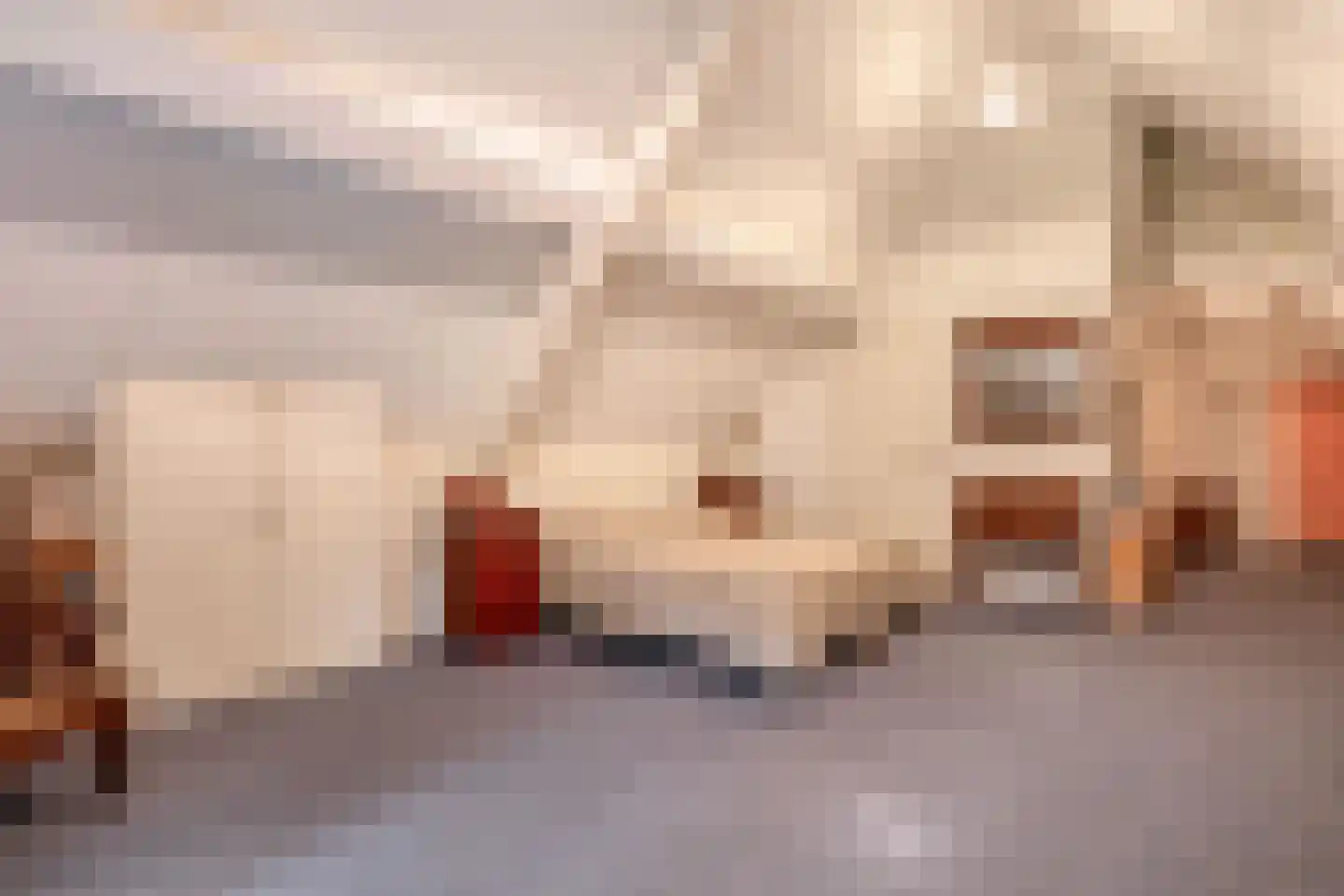 Brouwhuisweg 25 Vlierden thumbnail 55