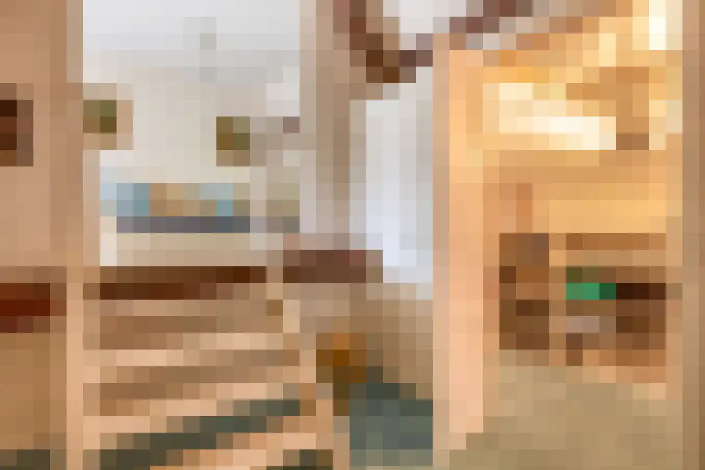 Brouwhuisweg 25 Vlierden thumbnail 56