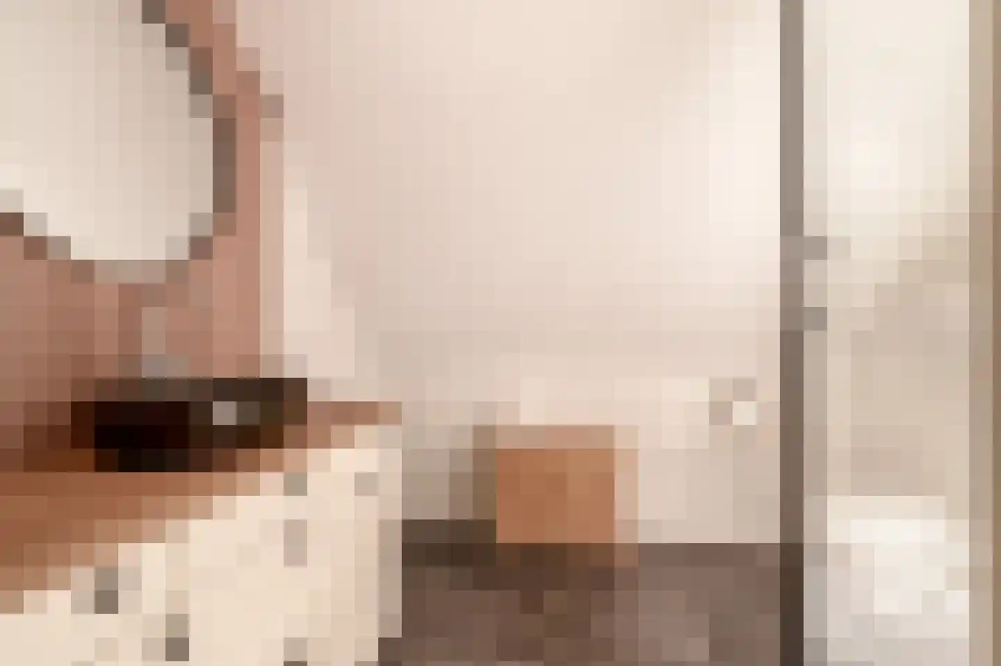 Brouwhuisweg 25 Vlierden thumbnail 59