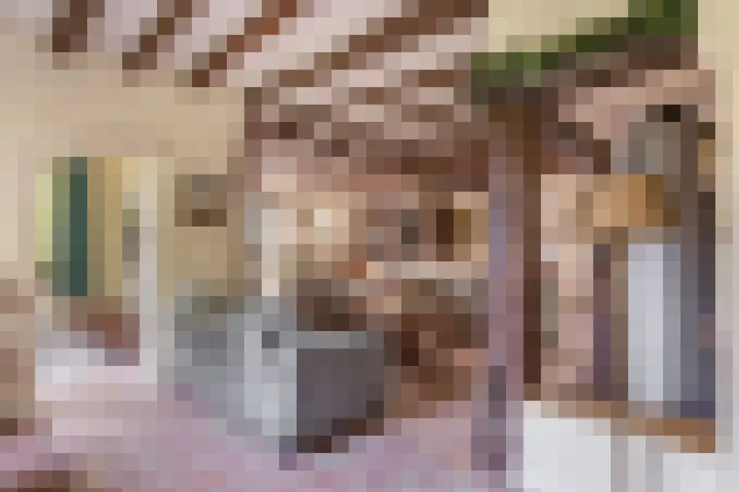 Brouwhuisweg 25 Vlierden thumbnail 6