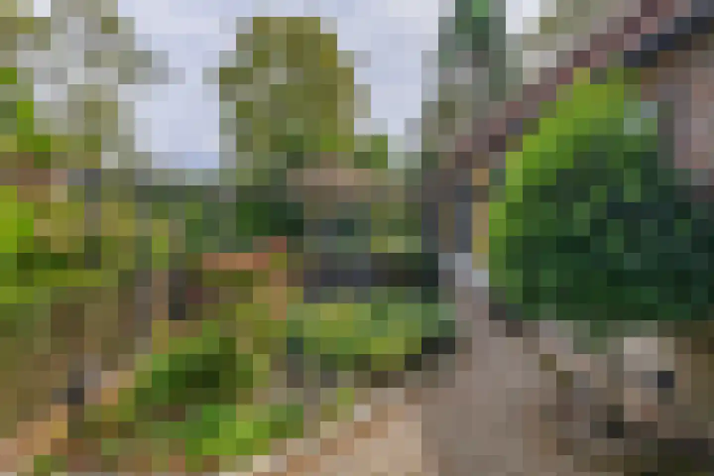 Brouwhuisweg 25 Vlierden thumbnail 64