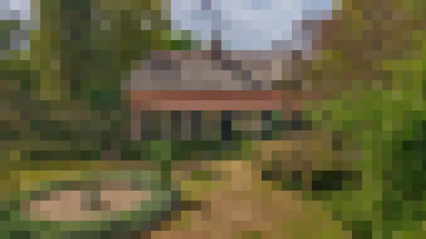 Brouwhuisweg 25 Vlierden thumbnail 65