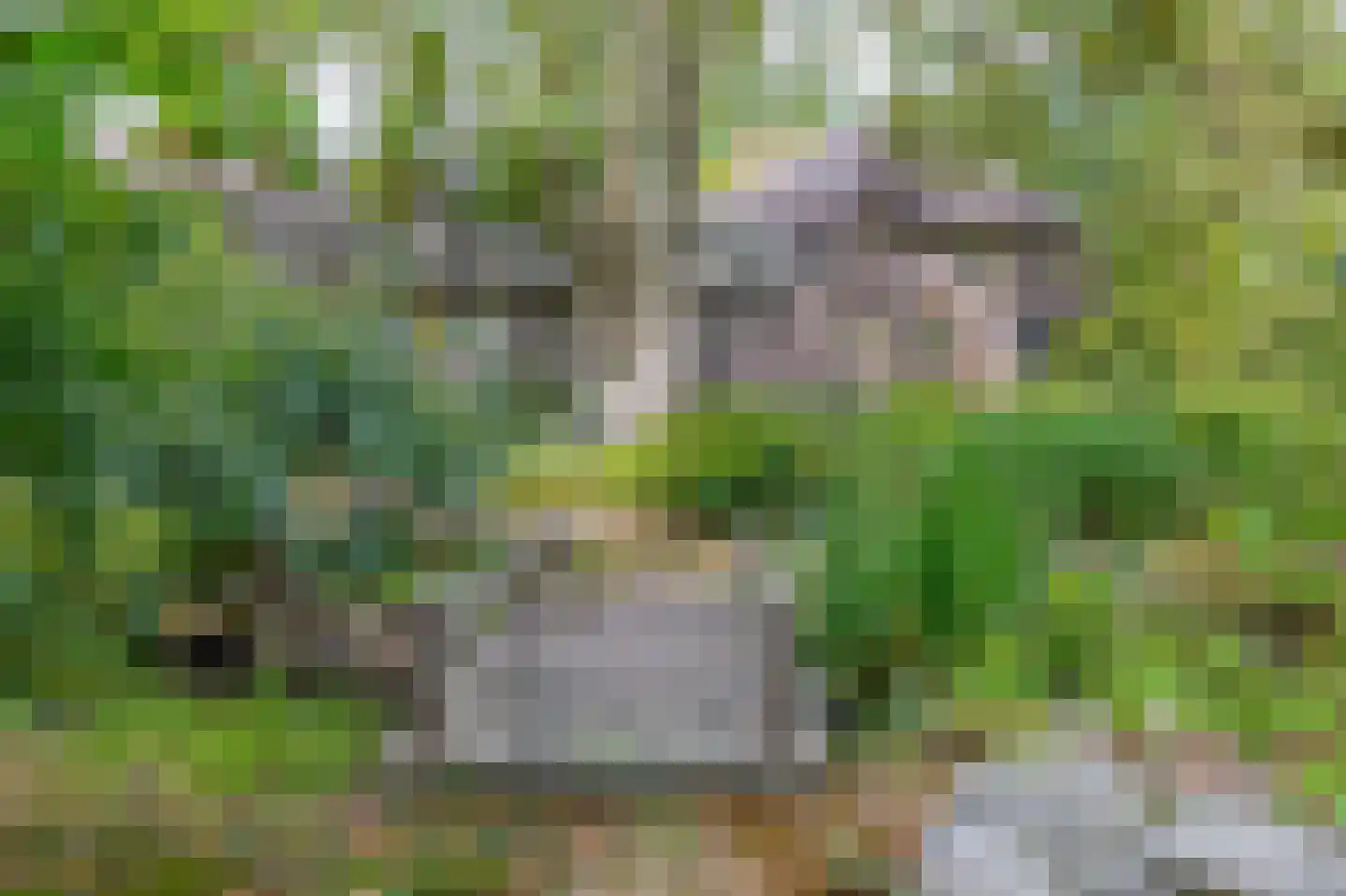 Brouwhuisweg 25 Vlierden thumbnail 66