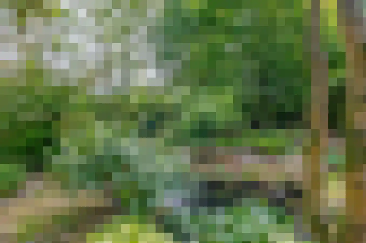 Brouwhuisweg 25 Vlierden thumbnail 67