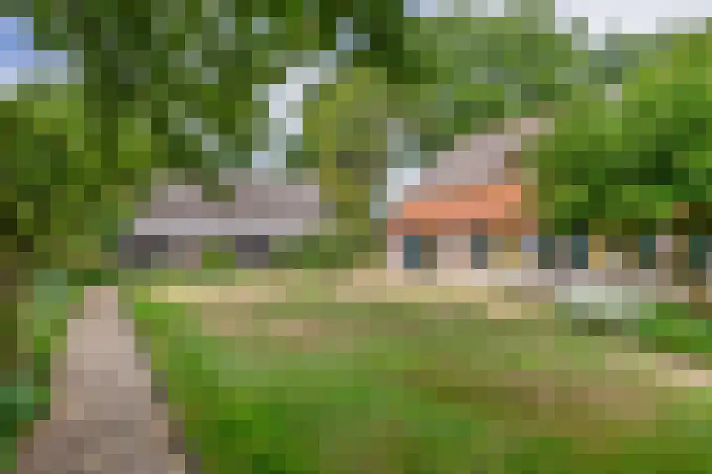 Brouwhuisweg 25 Vlierden thumbnail 68