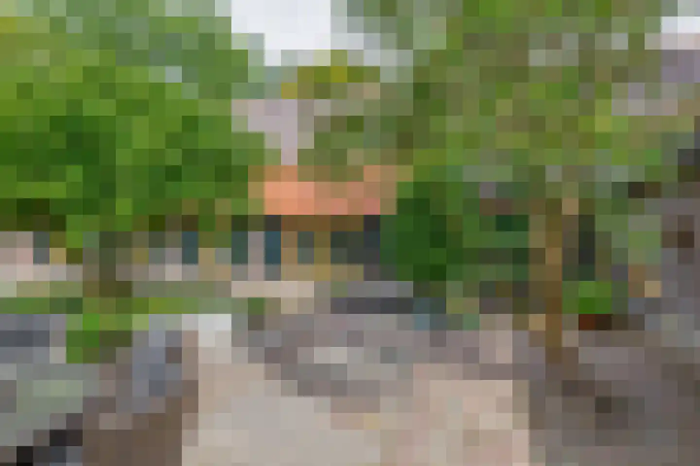 Brouwhuisweg 25 Vlierden thumbnail 70