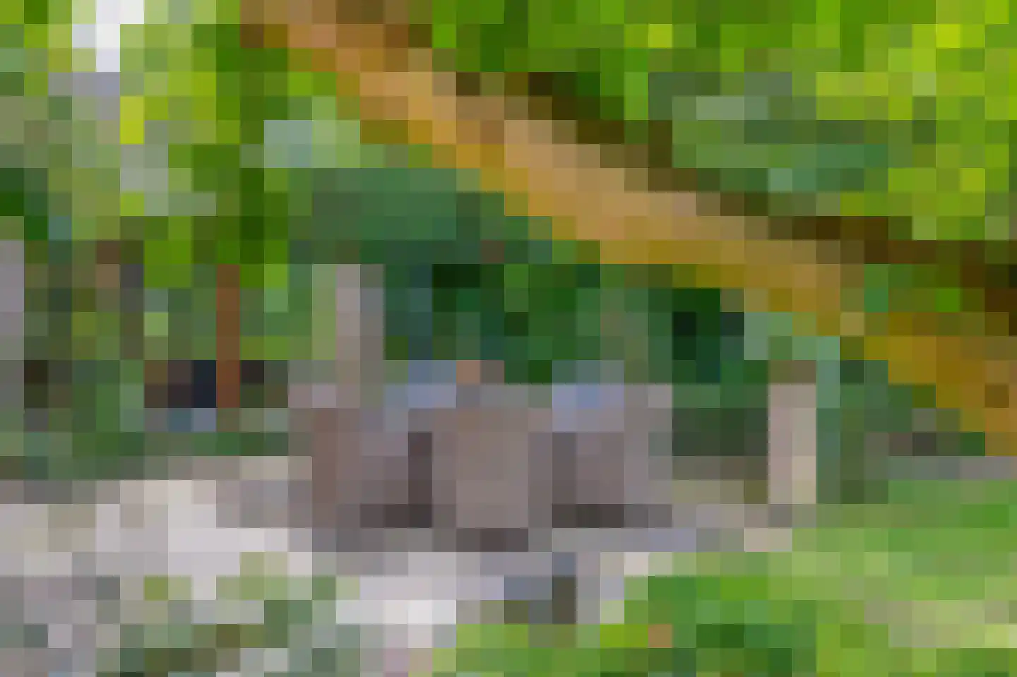 Brouwhuisweg 25 Vlierden thumbnail 71