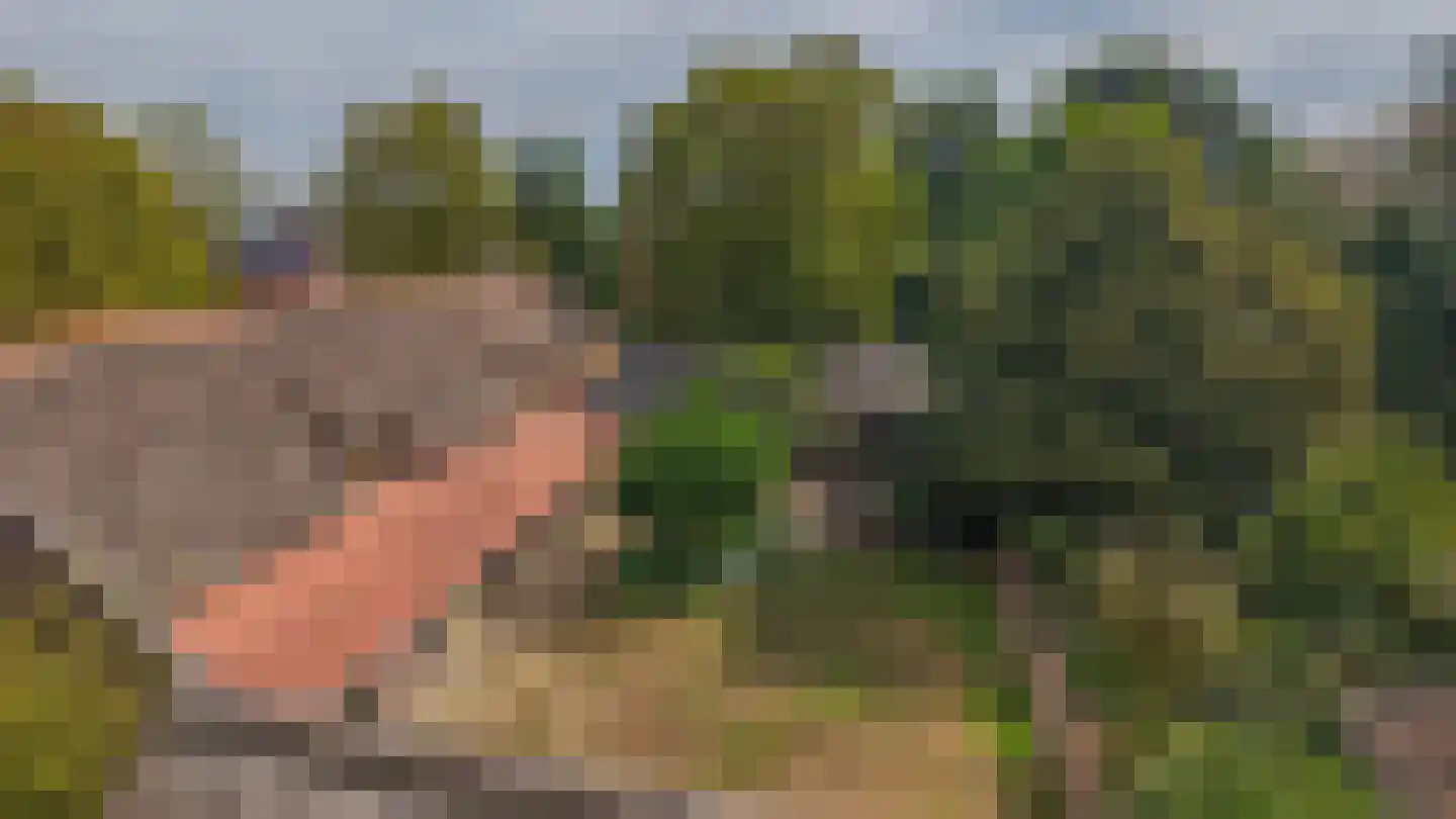 Brouwhuisweg 25 Vlierden thumbnail 73