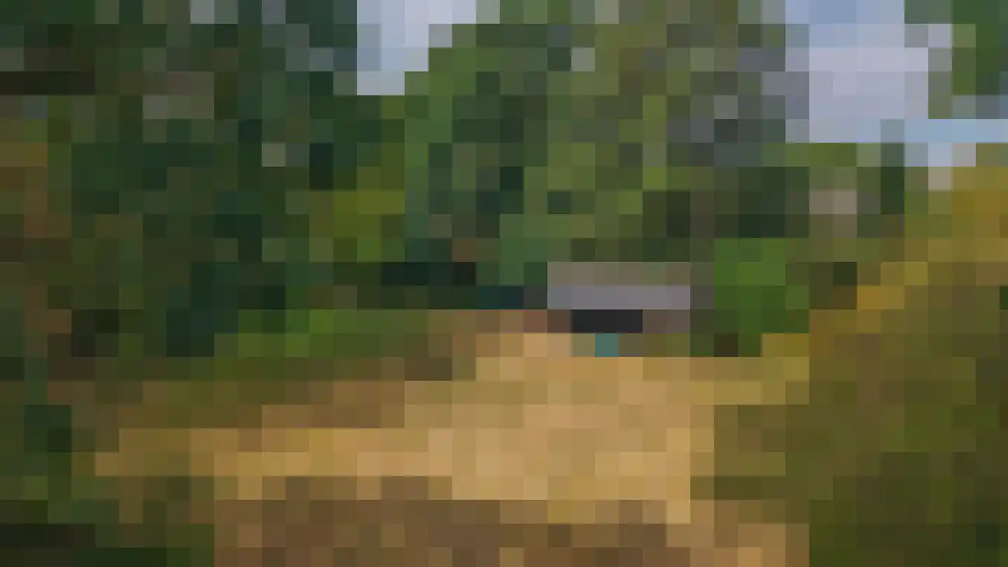 Brouwhuisweg 25 Vlierden thumbnail 74