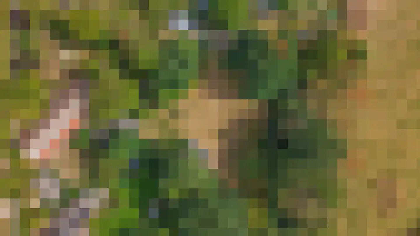 Brouwhuisweg 25 Vlierden thumbnail 75