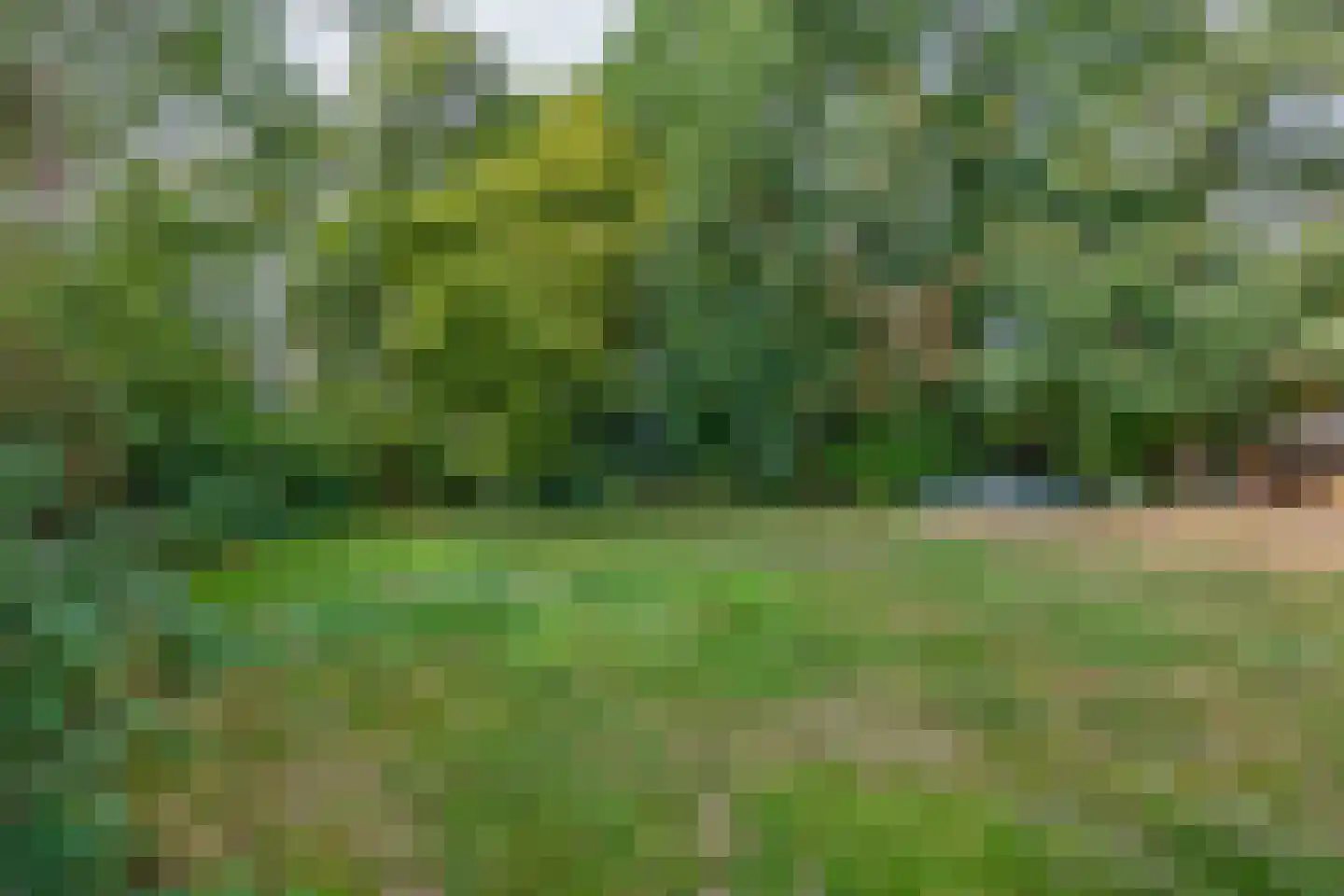 Brouwhuisweg 25 Vlierden thumbnail 77