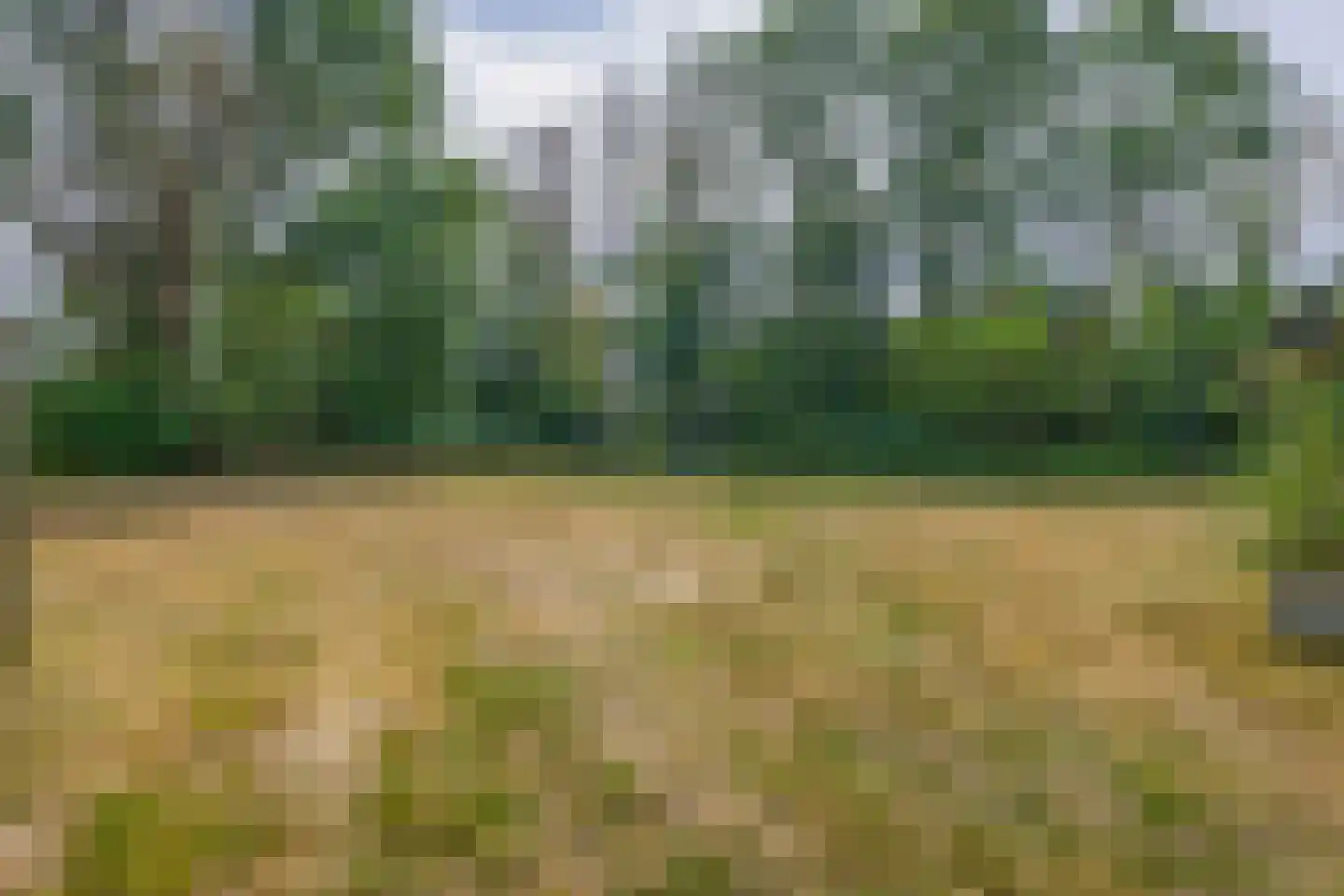 Brouwhuisweg 25 Vlierden thumbnail 78