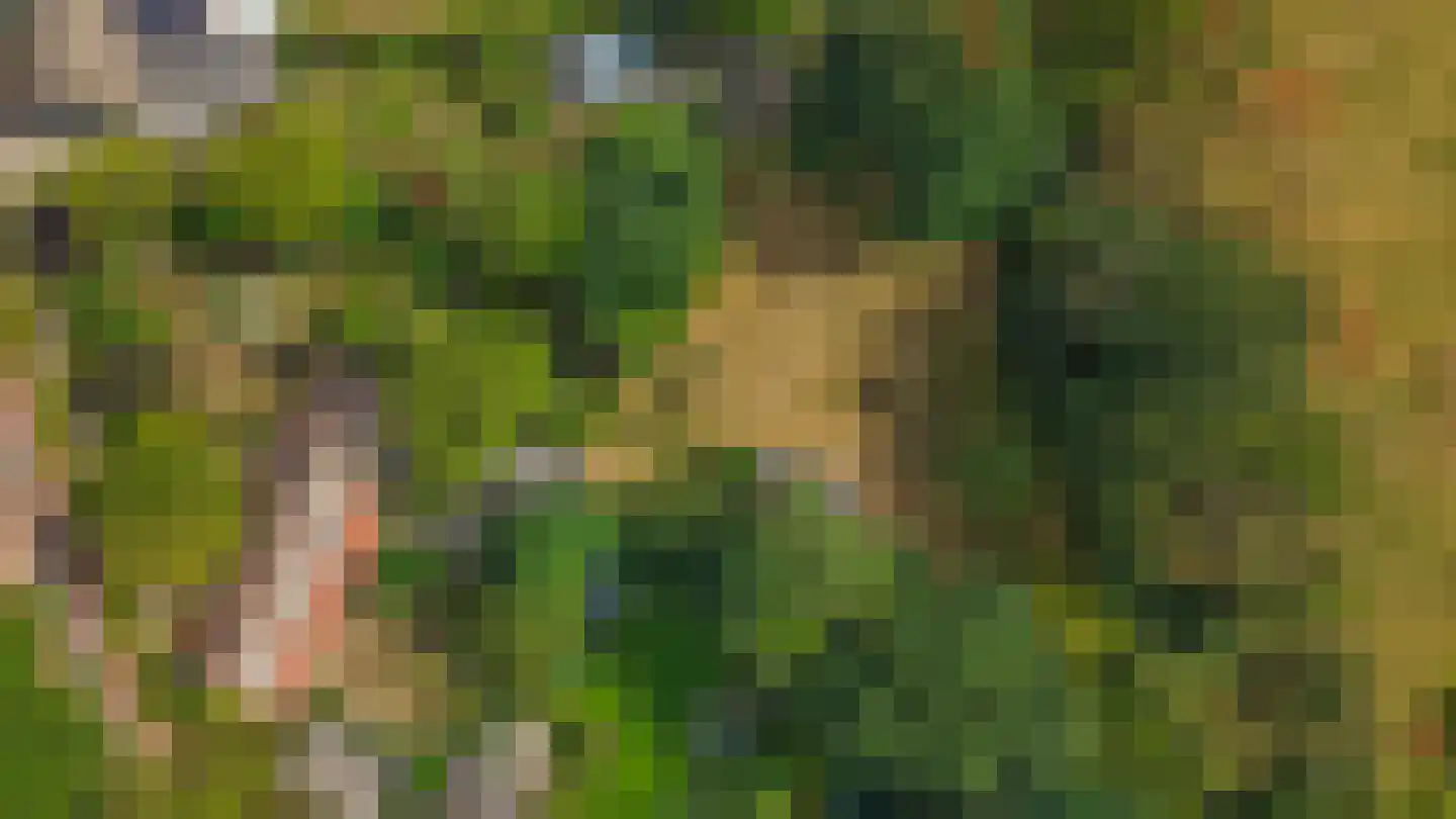 Brouwhuisweg 25 Vlierden thumbnail 80