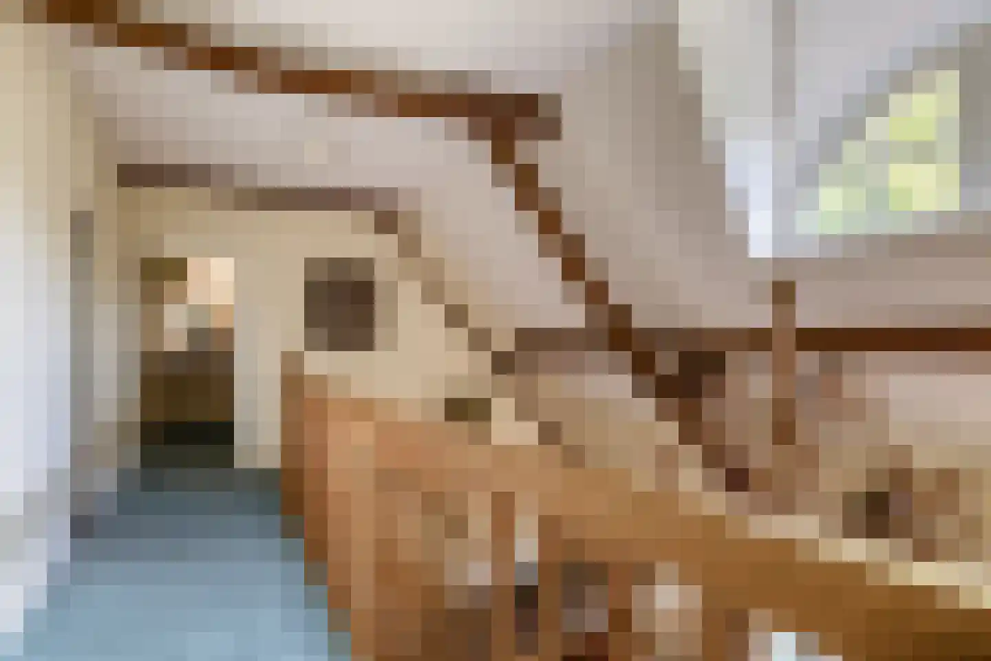 Brouwhuisweg 25 Vlierden thumbnail 9