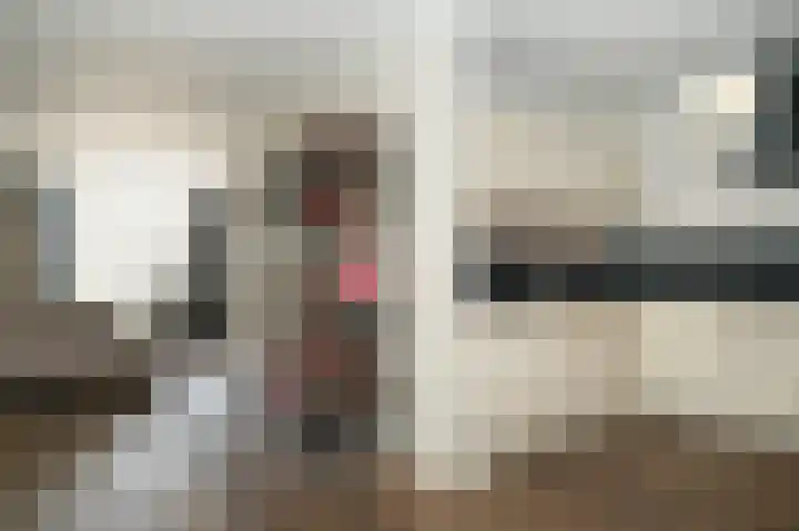Brouwketel 66 Schijndel thumbnail 12
