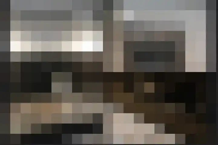 Brouwketel 66 Schijndel thumbnail 15