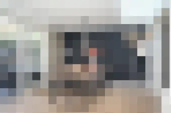 Brouwketel 66 Schijndel thumbnail 16