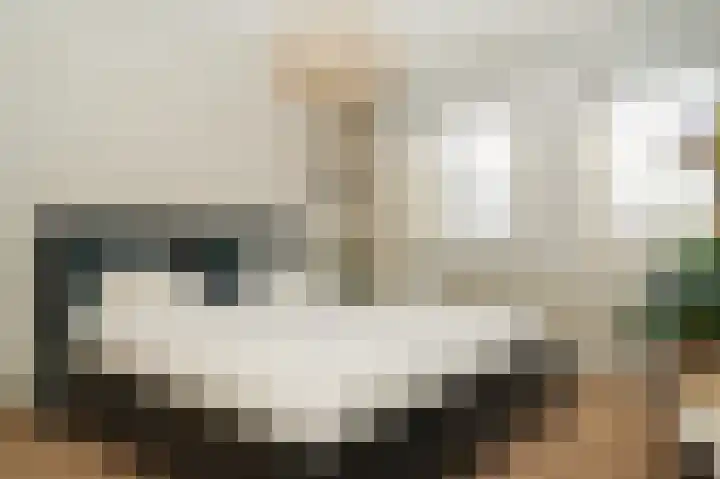 Brouwketel 66 Schijndel thumbnail 23