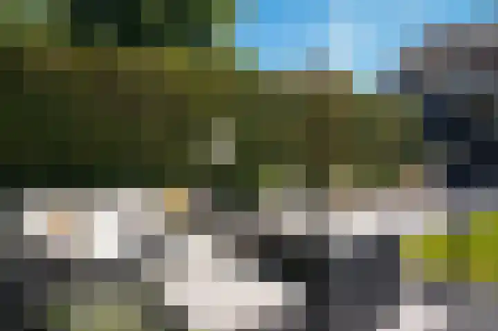 Brouwketel 66 Schijndel thumbnail 38