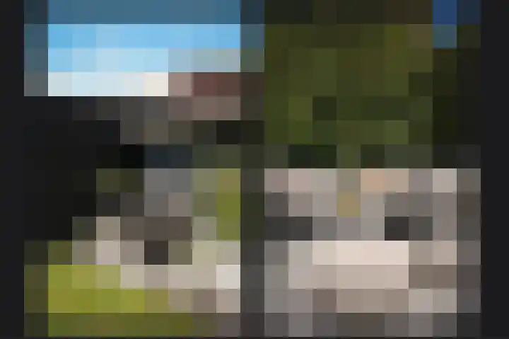 Brouwketel 66 Schijndel thumbnail 42