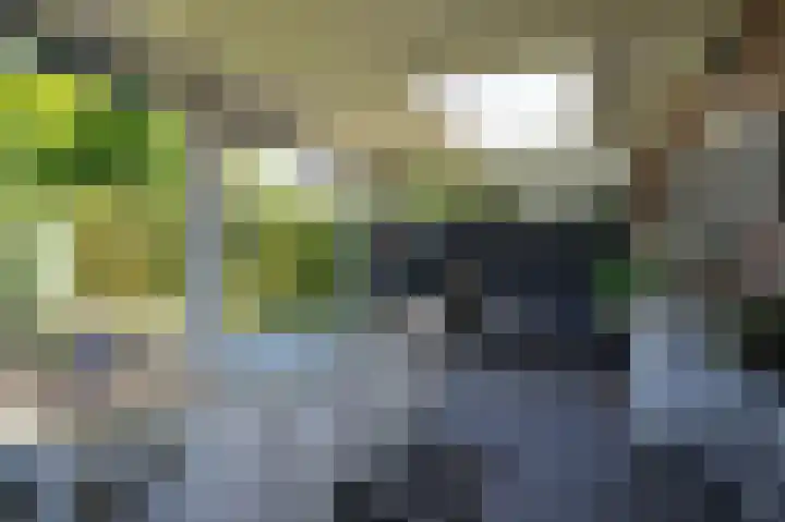 Brouwketel 66 Schijndel thumbnail 49